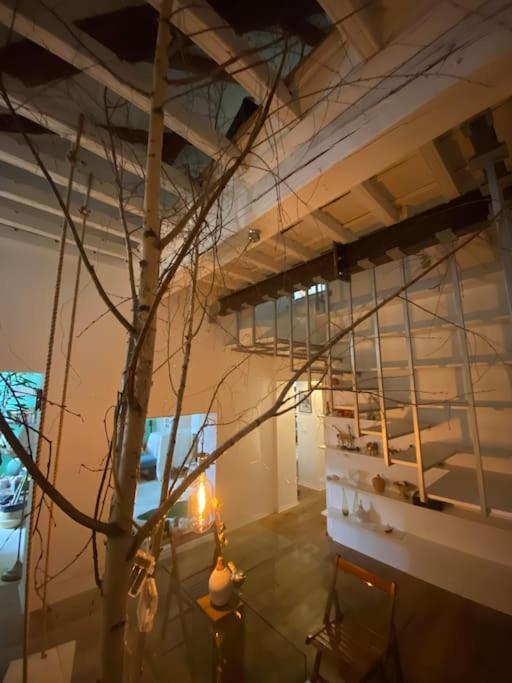 דירות טורינו Casa Degli Alberi מראה חיצוני תמונה