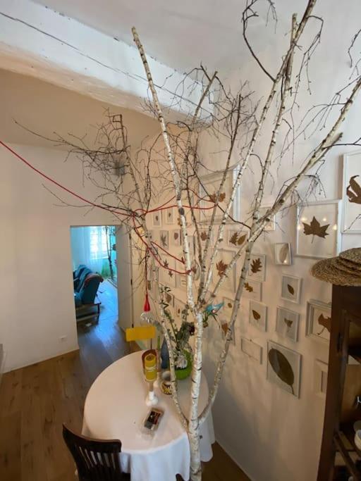 דירות טורינו Casa Degli Alberi מראה חיצוני תמונה